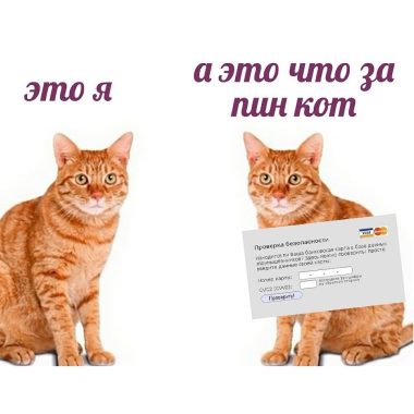 PR в ИТ: как попасть во все топ медиа за один день?